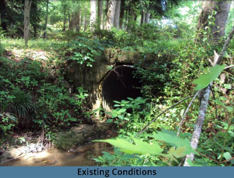 silver_leaf_existing_conditions-3 - Copy